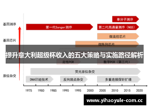 提升意大利超级杯收入的五大策略与实施路径解析