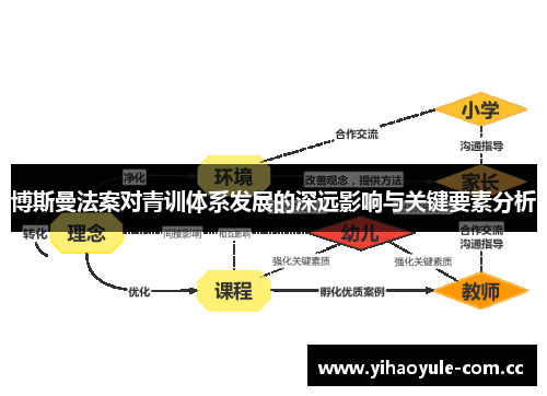 博斯曼法案对青训体系发展的深远影响与关键要素分析